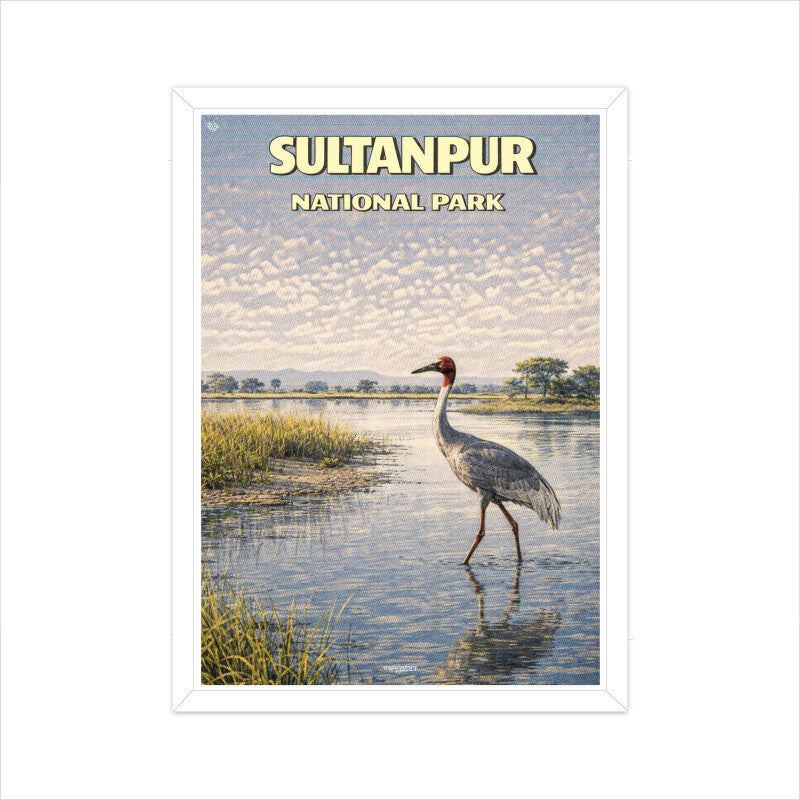 Front View - 5900811