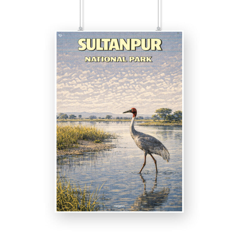 Front View - 5900812