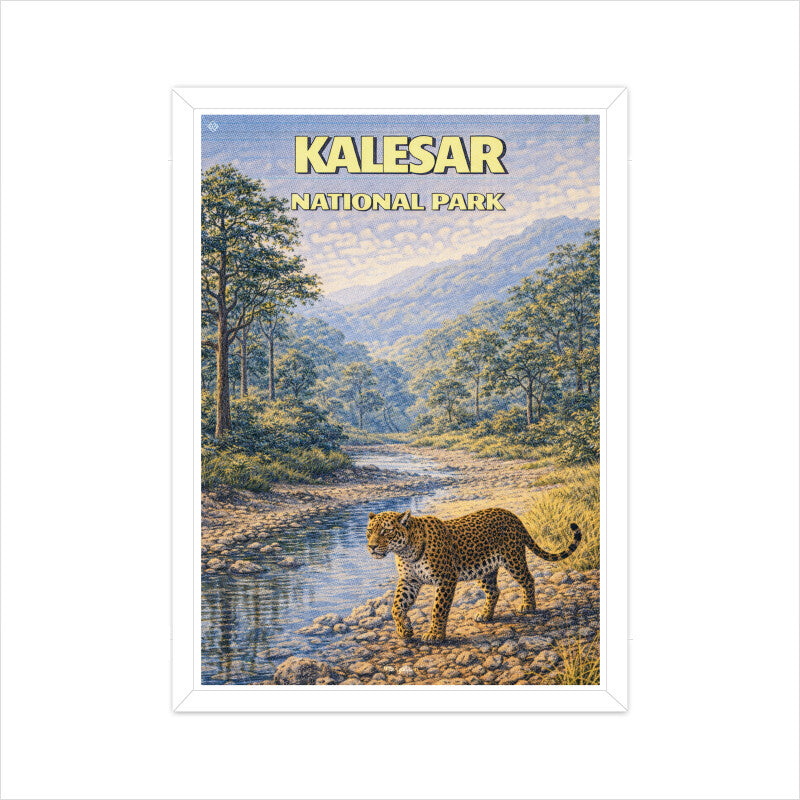 Front View - 5905989