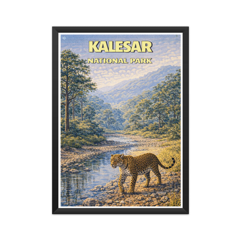 Front View - 5905993